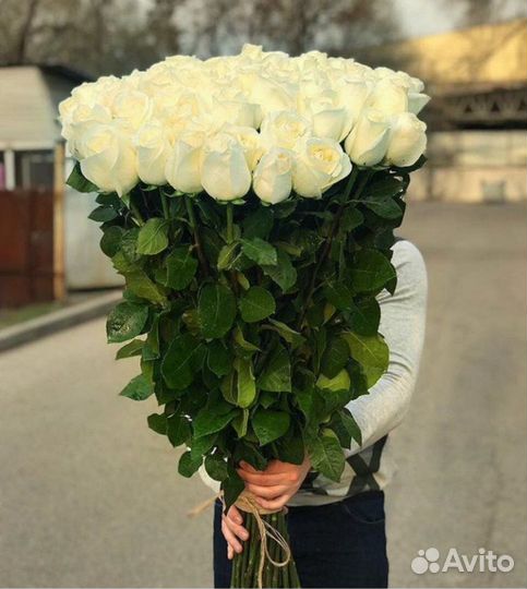 101 роза 51 роза 25 15 Цветы Доставка