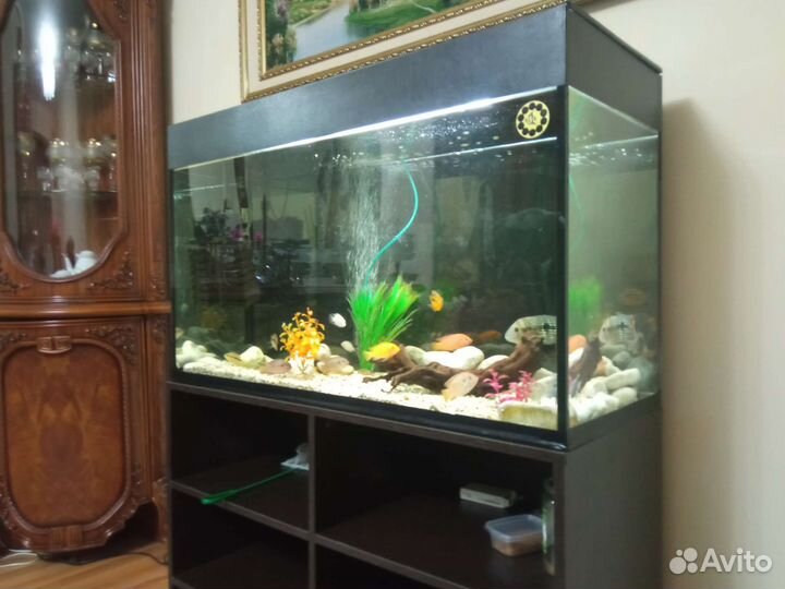 Аквариум