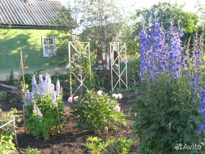 Продажа цветов и кустарников