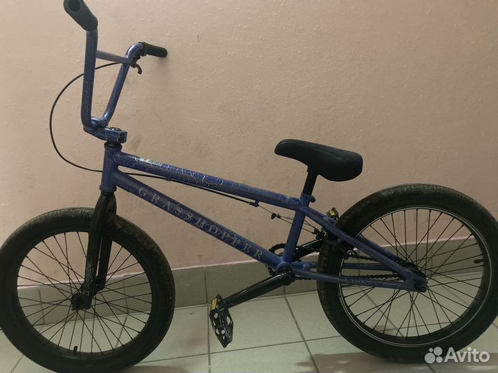 BMX TT Grasshopper