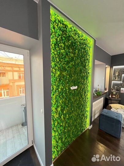 Зеленые стены со мхом