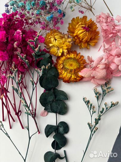 Набор сухоцветов для творчества