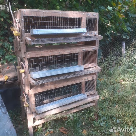 Клетки для перепелов