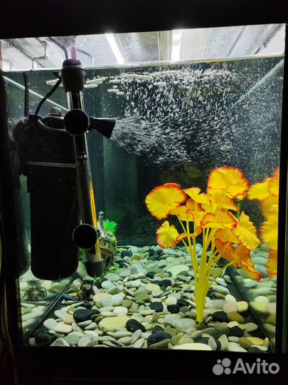 Аквариум