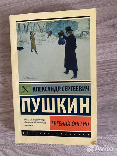 Пушкин евгений онегин