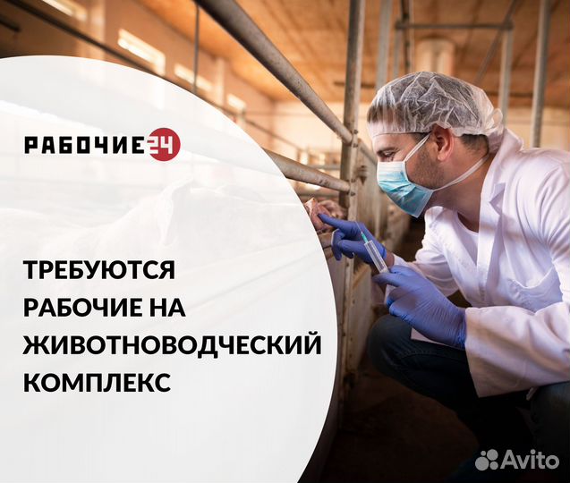 Разнорабочие на вахту