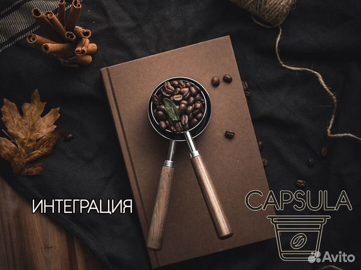 Capsula: ваш путь к бизнесу