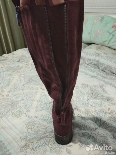 Сапоги женские