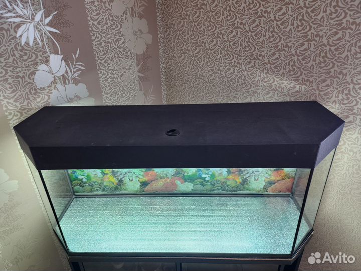 Аквариум 250л