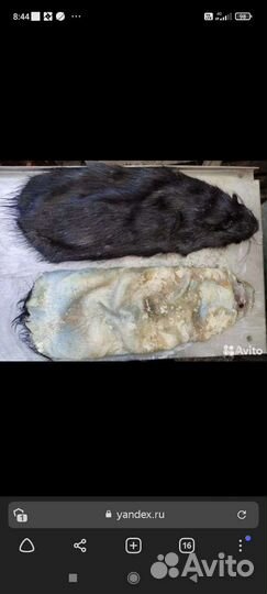 Шкурка животного