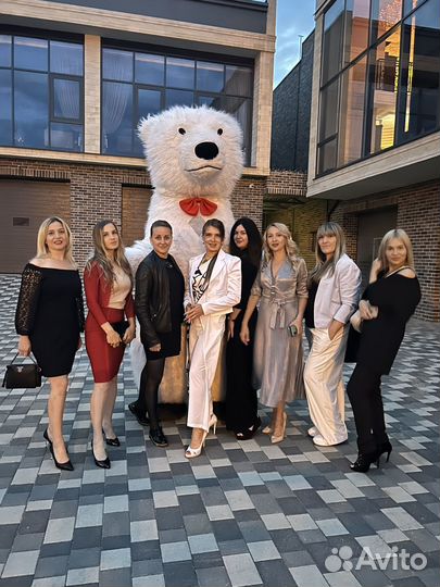 Белый мишка поздраление. Аэромедведь 2.6м