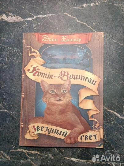 Коты воители второй цикл