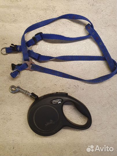 Поводок рулетка flexi и шлейка