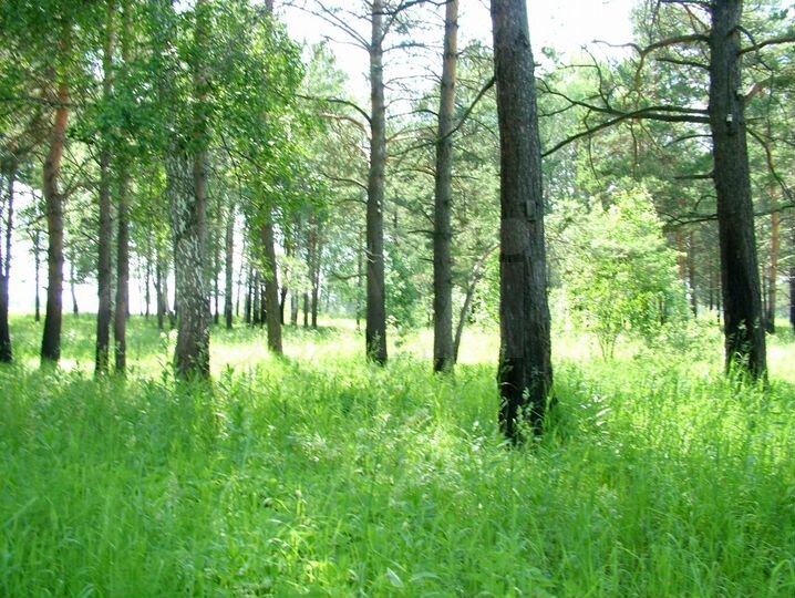 Участок 26,6 га (СНТ, ДНП)