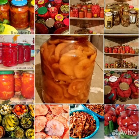 Соленья домашние консервацыя