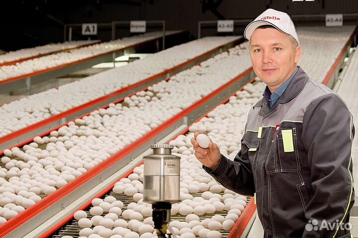 Укладчик-упаковщик на Птицефабрику, Вахта с прожив