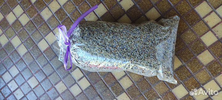 Семена лаванды