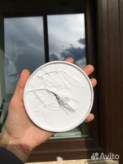 Ботанический барельеф