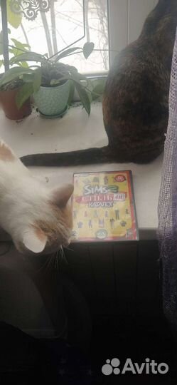 The Sims 2 каталог