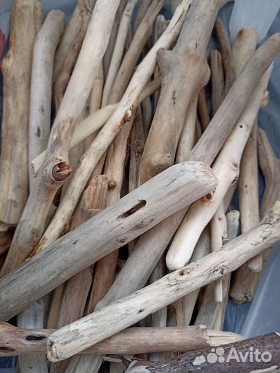 Коряги дрифтвуд для творчества и декора
