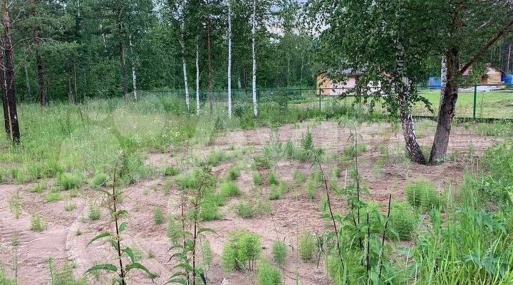 Участок 12,3 сот. (СНТ, ДНП)