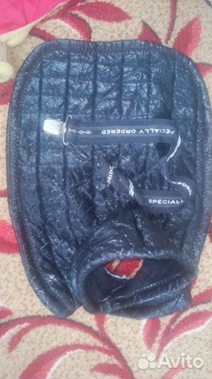 Одежда для собак