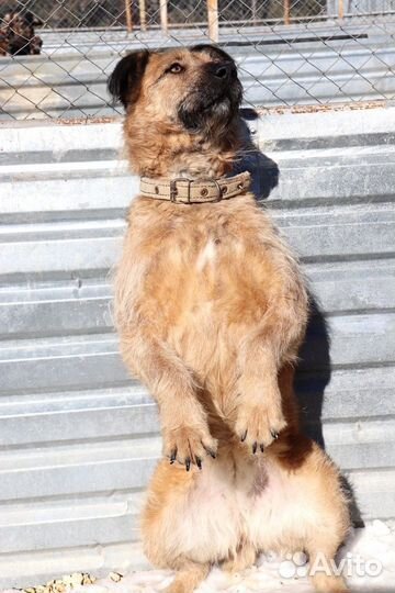 Мальта бесплатно