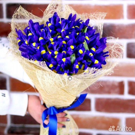 Ирис Сибирский букет