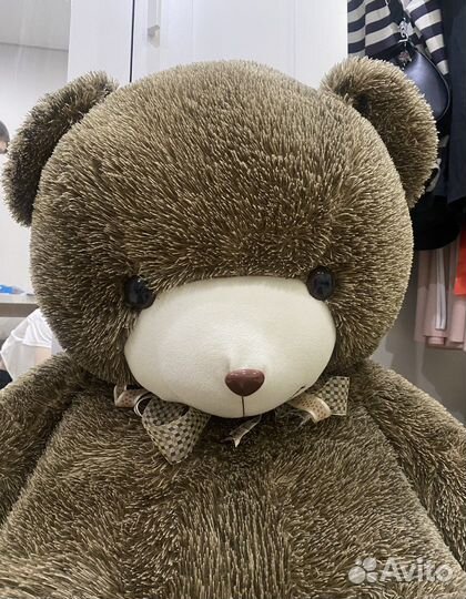 Большие плюшевые медведи