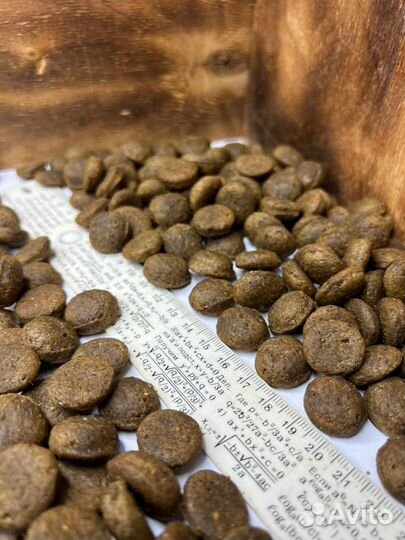 Корм для собак