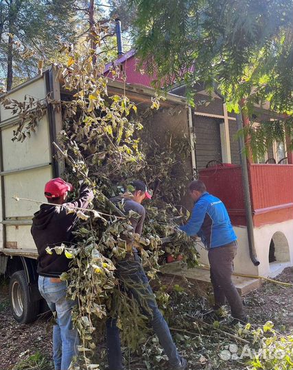 Вывоз мусора газель