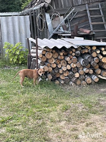 Зола древесная