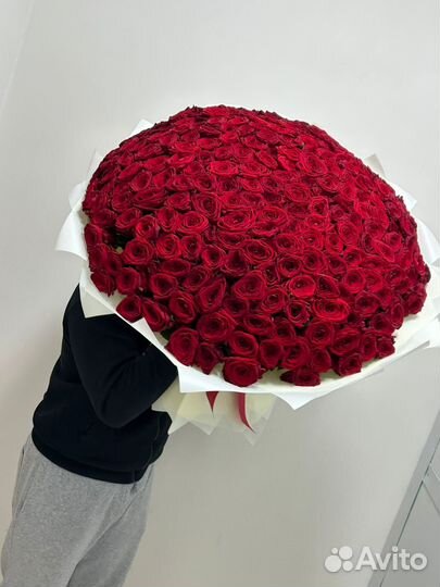 101 роза Цветы