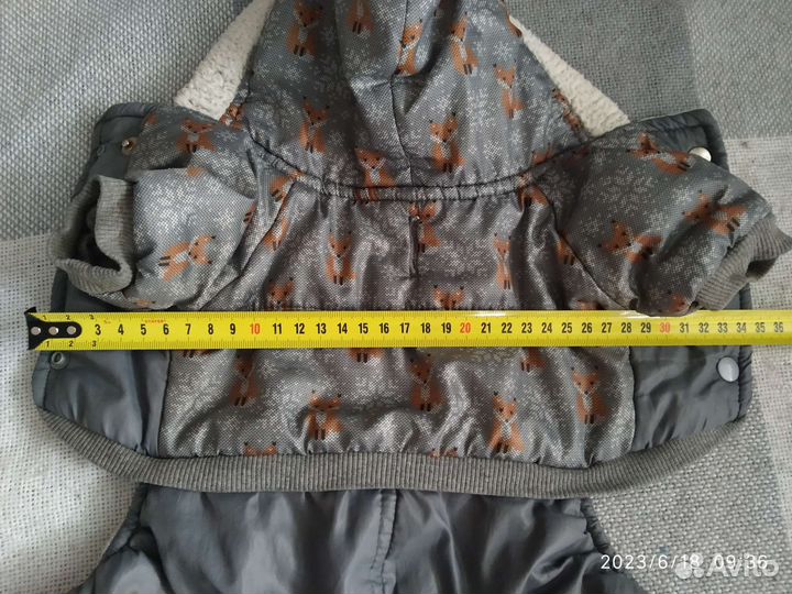 Одежда животных