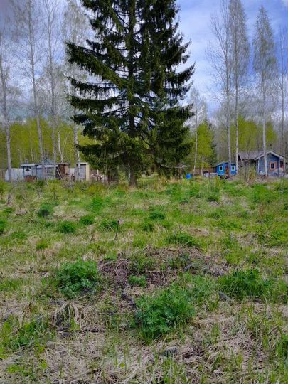 Участок 20 сот. (СНТ, ДНП)