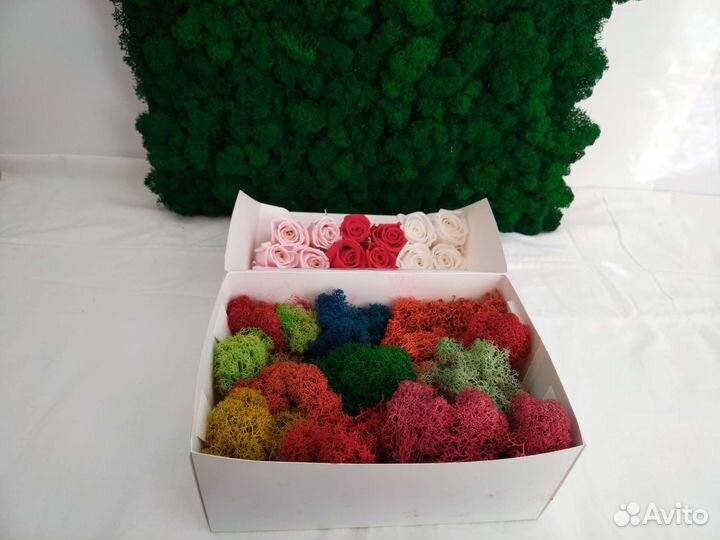 Стабилизированный мох ягель от производителя оптом