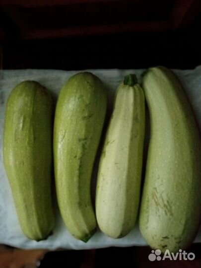 Кабачки