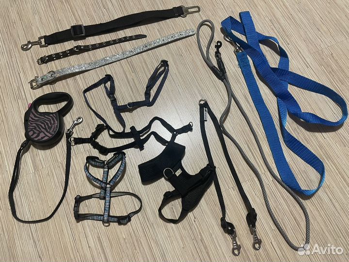 Вещи для собак