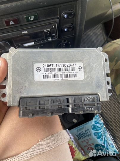 Мозг на кластку