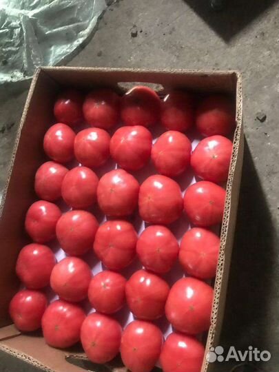 Помидоры розовые