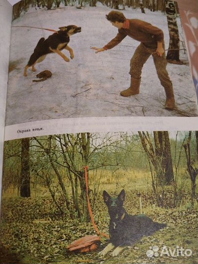 Книги о собаках