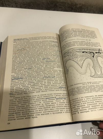 Учебник по анатомии Привес