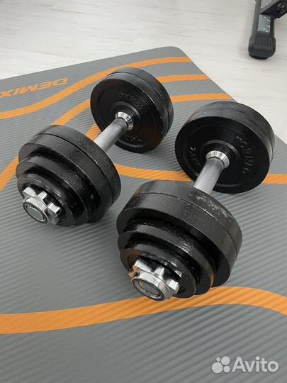 Гантели разборные Torneo 15 кг