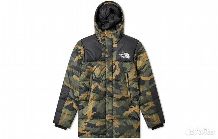 THE north face Jacket Men Green (S)(15)