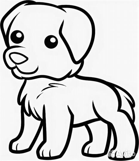 Отдам в добрые руки