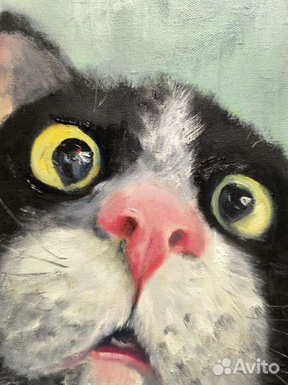 Картина маслом на холсте Котэ 30х40