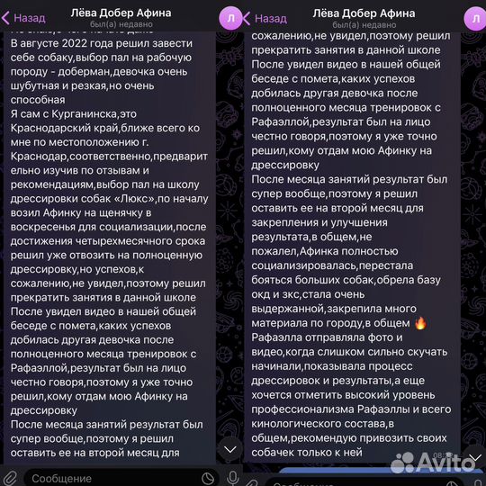 Услуги кинолога. Дрессировка, передержка