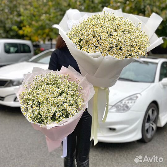 Ромашки. Букеты из Танацетума. Цветы с Доставкой
