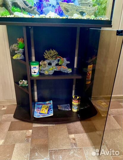 Аквариум