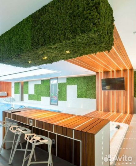 Мох стабилизированный панно панель